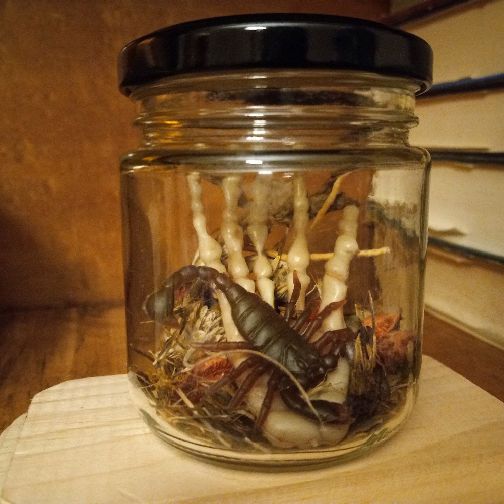 Skeletal specimen jars, set of 3, handmade - Picture 9 of 16